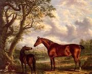 unknow artist Classical hunting fox, Equestrian and Beautiful Horses, 224. USA oil painting artist